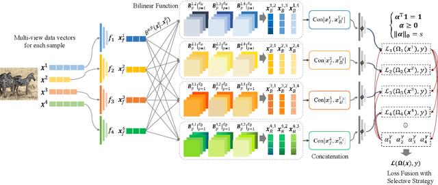 Figure 1 for Embedded Deep Bilinear Interactive Information and Selective Fusion for Multi-view Learning