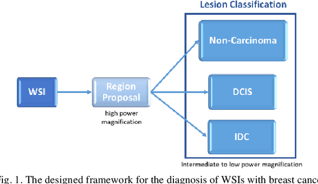 Figure 1 for A Computer-Aided Diagnosis System for Breast Pathology: A Deep Learning Approach with Model Interpretability from Pathological Perspective