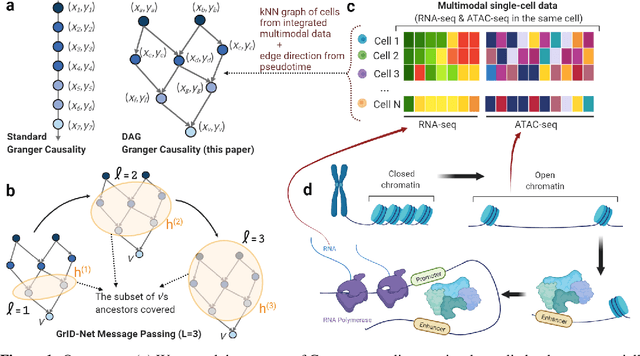 Figure 1 for Granger causal inference on DAGs identifies genomic loci regulating transcription
