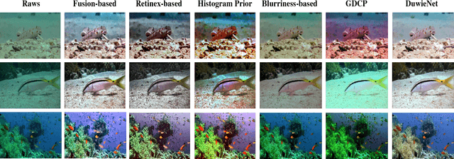 Figure 4 for An Underwater Image Enhancement Benchmark Dataset and Beyond