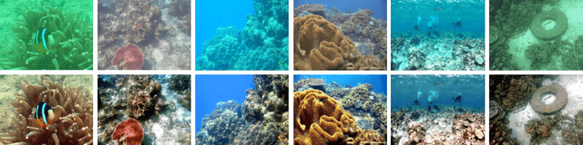 Figure 1 for An Underwater Image Enhancement Benchmark Dataset and Beyond