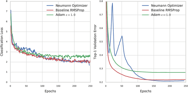 Figure 1 for Neumann Optimizer: A Practical Optimization Algorithm for Deep Neural Networks