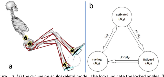 Figure 3 for Neuromechanics-based Deep Reinforcement Learning of Neurostimulation Control in FES cycling