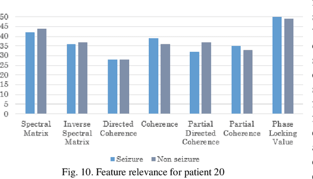 Figure 2 for An Explainable Model for EEG Seizure Detection based on Connectivity Features