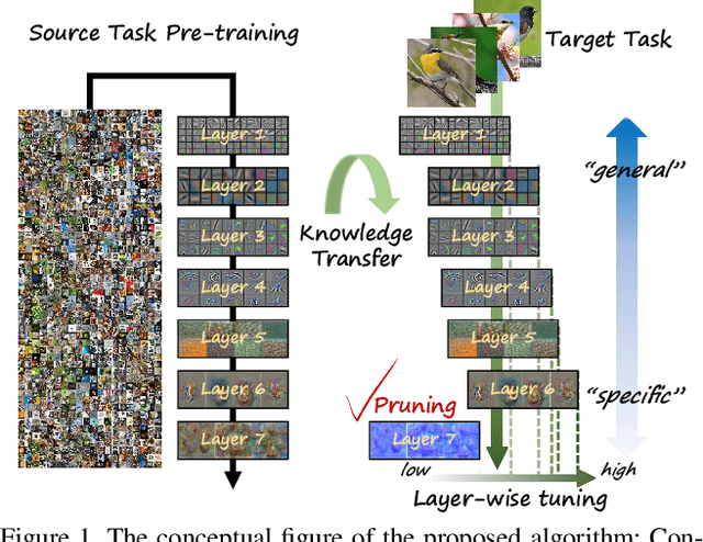 Figure 1 for Layer-wise Pruning and Auto-tuning of Layer-wise Learning Rates in Fine-tuning of Deep Networks