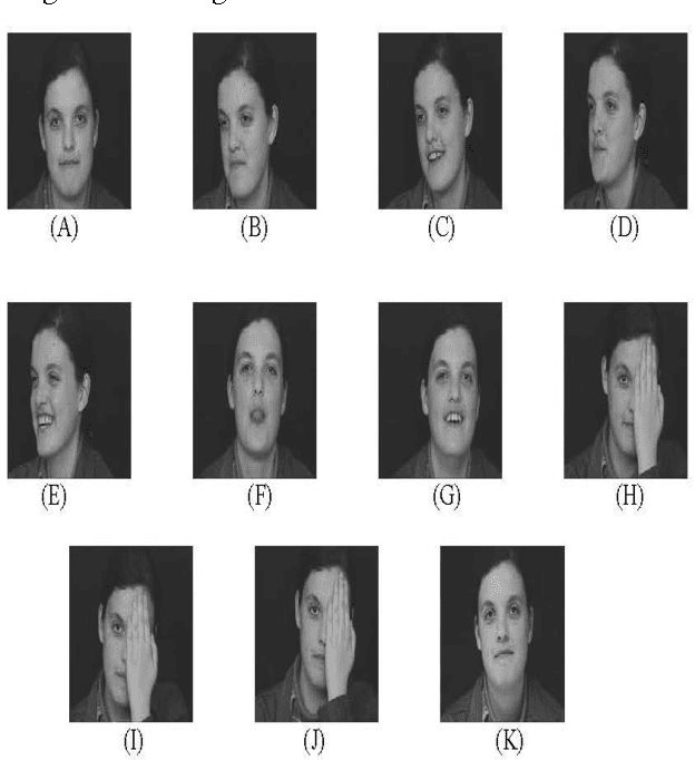 Figure 2 for A Face Recognition approach based on entropy estimate of the nonlinear DCT features in the Logarithm Domain together with Kernel Entropy Component Analysis