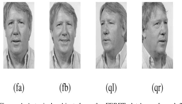 Figure 4 for A Face Recognition approach based on entropy estimate of the nonlinear DCT features in the Logarithm Domain together with Kernel Entropy Component Analysis