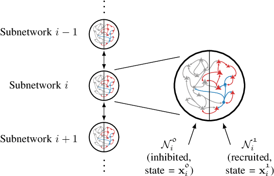 Figure 1 for Hierarchical Selective Recruitment in Linear-Threshold Brain Networks - Part II: Inter-Layer Dynamics and Top-Down Recruitment