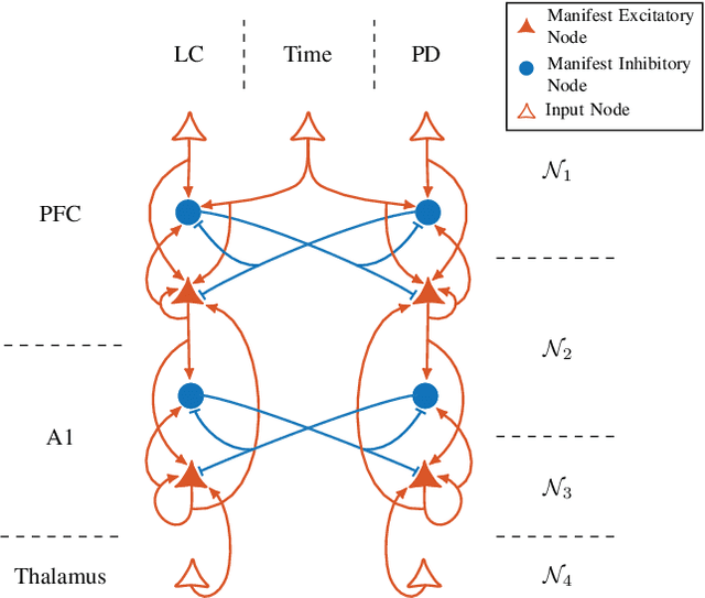 Figure 4 for Hierarchical Selective Recruitment in Linear-Threshold Brain Networks - Part II: Inter-Layer Dynamics and Top-Down Recruitment