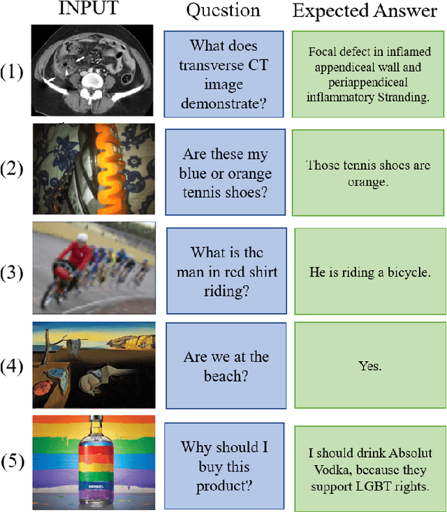 Figure 3 for Visual Question Answering: which investigated applications?