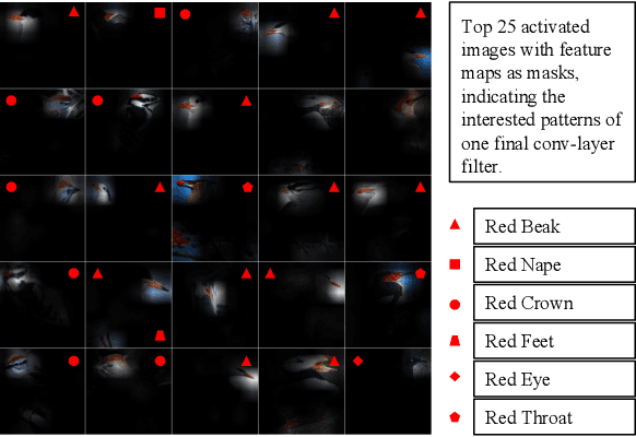 Figure 3 for Aligned to the Object, not to the Image: A Unified Pose-aligned Representation for Fine-grained Recognition