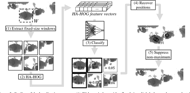 Figure 3 for Accurate pedestrian localization in overhead depth images via Height-Augmented HOG