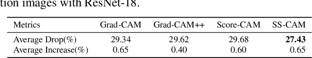 Figure 2 for SS-CAM: Smoothed Score-CAM for Sharper Visual Feature Localization