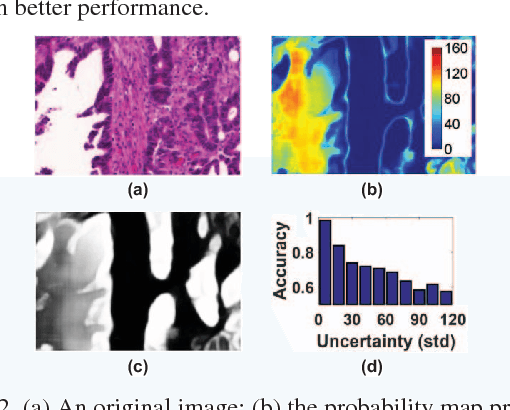 Figure 3 for Quantization of Fully Convolutional Networks for Accurate Biomedical Image Segmentation