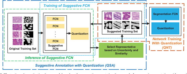 Figure 4 for Quantization of Fully Convolutional Networks for Accurate Biomedical Image Segmentation