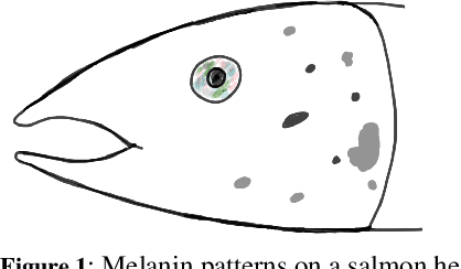 Figure 1 for FishNet: A Unified Embedding for Salmon Recognition