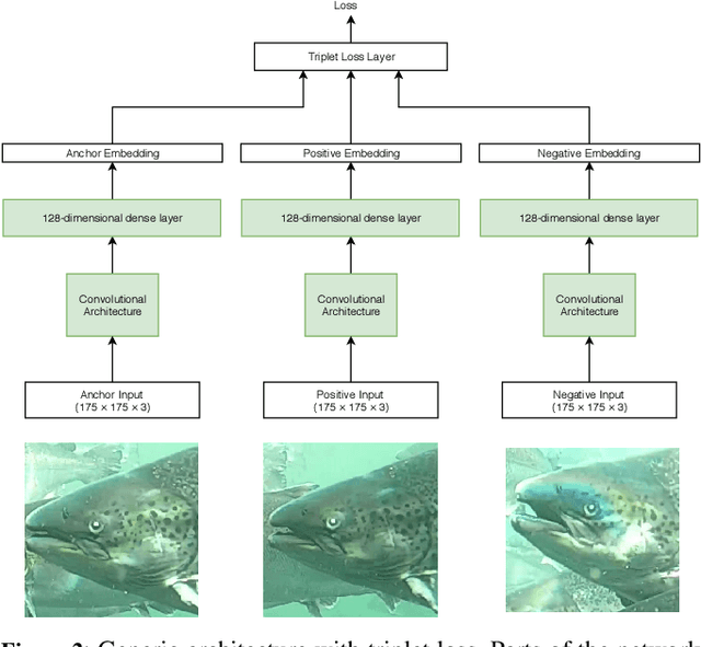Figure 3 for FishNet: A Unified Embedding for Salmon Recognition
