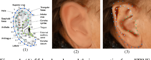 Figure 1 for A Human Ear Reconstruction Autoencoder