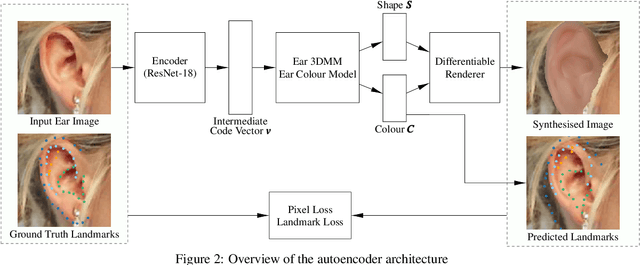 Figure 3 for A Human Ear Reconstruction Autoencoder