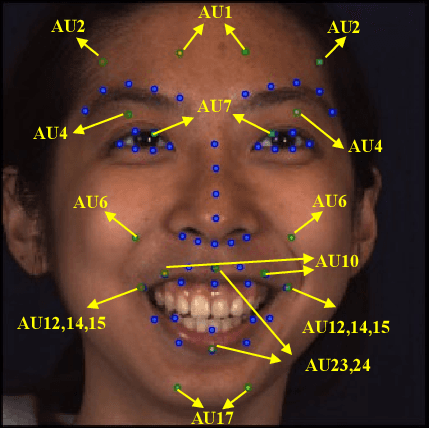 Figure 2 for Cross-subject Action Unit Detection with Meta Learning and Transformer-based Relation Modeling