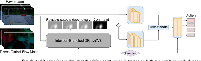 Figure 4 for Human Visual Attention Prediction Boosts Learning & Performance of Autonomous Driving Agents