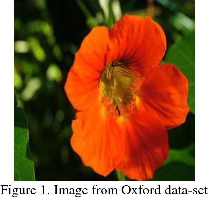 Figure 1 for Flower Categorization using Deep Convolutional Neural Networks
