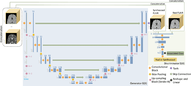 Figure 1 for Temporally Adjustable Longitudinal Fluid-Attenuated Inversion Recovery MRI Estimation / Synthesis for Multiple Sclerosis