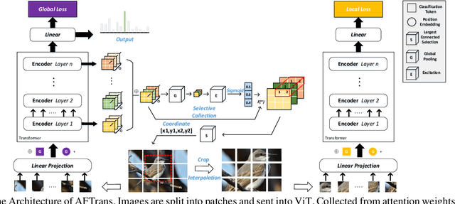 Figure 3 for A free lunch from ViT:Adaptive Attention Multi-scale Fusion Transformer for Fine-grained Visual Recognition