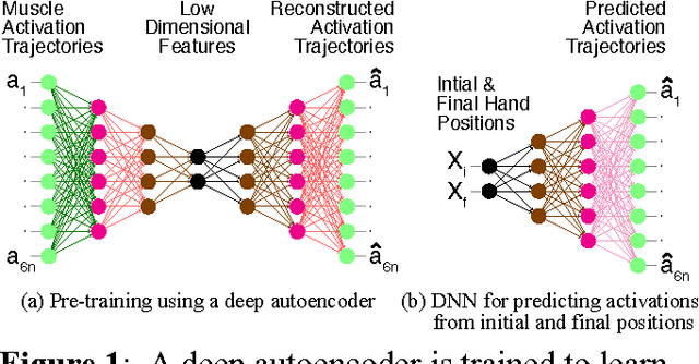 Figure 1 for Prediction of Muscle Activations for Reaching Movements using Deep Neural Networks