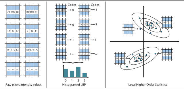 Figure 1 for Local Higher-Order Statistics (LHS) describing images with statistics of local non-binarized pixel patterns