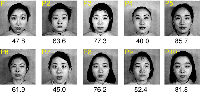 Figure 3 for Local Higher-Order Statistics (LHS) describing images with statistics of local non-binarized pixel patterns