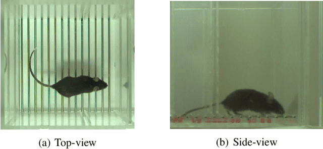 Figure 4 for Detecting Unknown Behaviors by Pre-defined Behaviours: An Bayesian Non-parametric Approach