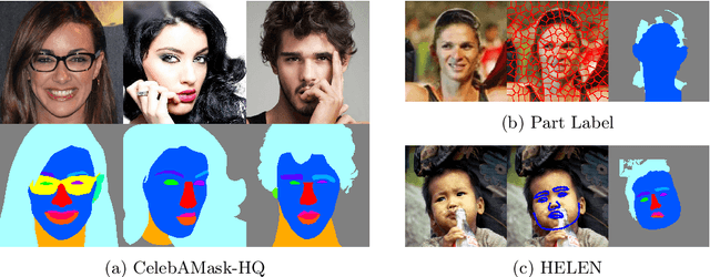 Figure 1 for FaceOcc: A Diverse, High-quality Face Occlusion Dataset for Human Face Extraction
