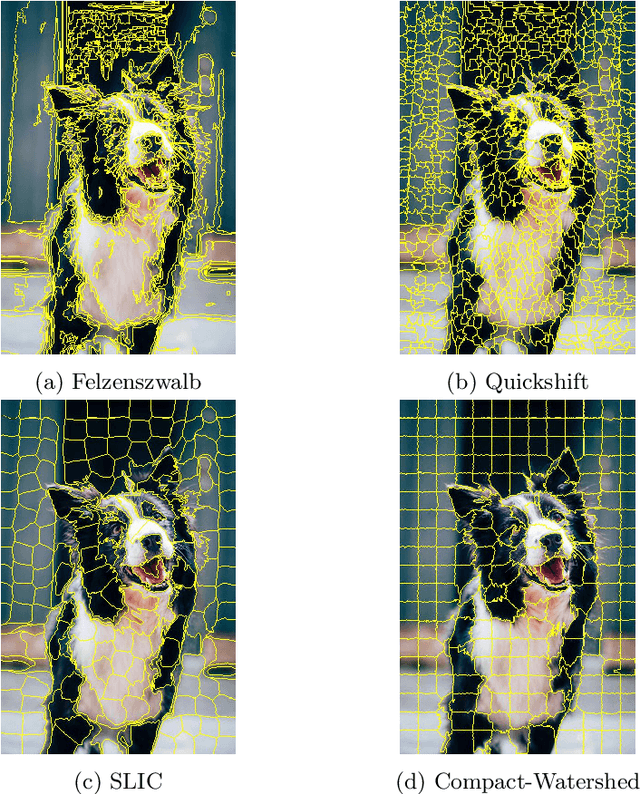 Figure 1 for Effect of Superpixel Aggregation on Explanations in LIME -- A Case Study with Biological Data