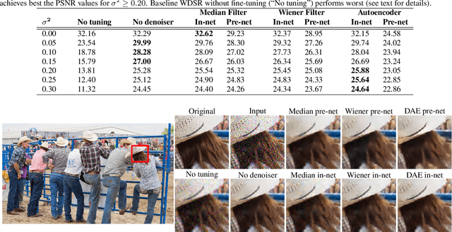 Figure 2 for Deep learning architectural designs for super-resolution of noisy images