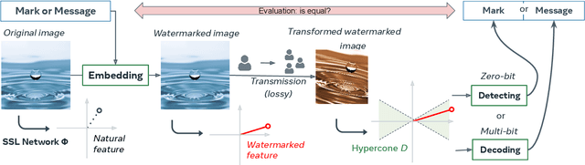 Figure 1 for Watermarking Images in Self-Supervised Latent Spaces