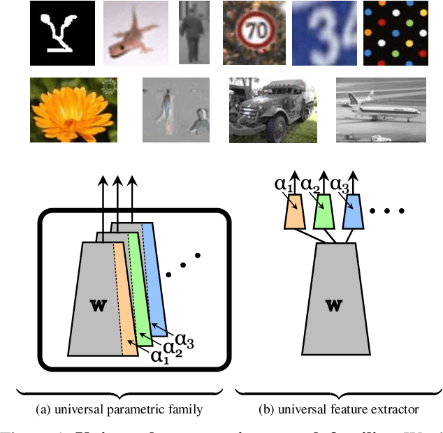 Figure 1 for Efficient parametrization of multi-domain deep neural networks