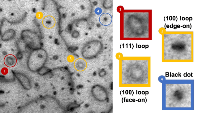 Figure 1 for Performance, Successes and Limitations of Deep Learning Semantic Segmentation of Multiple Defects in Transmission Electron Micrographs