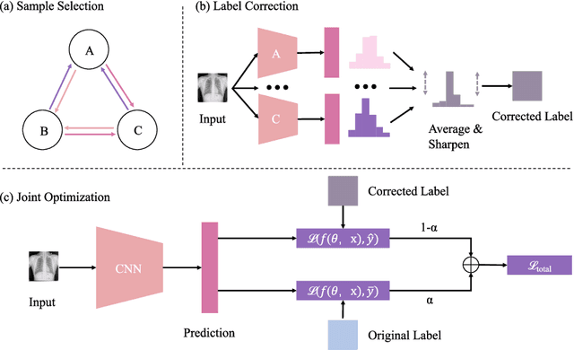 Figure 1 for Cascaded Robust Learning at Imperfect Labels for Chest X-ray Segmentation
