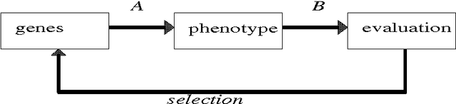 Figure 4 for Biomimetic use of genetic algorithms