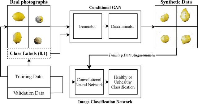 Figure 3 for Fruit Quality and Defect Image Classification with Conditional GAN Data Augmentation