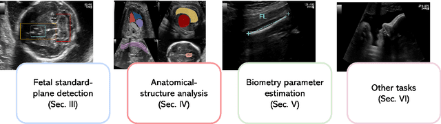 Figure 1 for A Review on Deep-Learning Algorithms for Fetal Ultrasound-Image Analysis