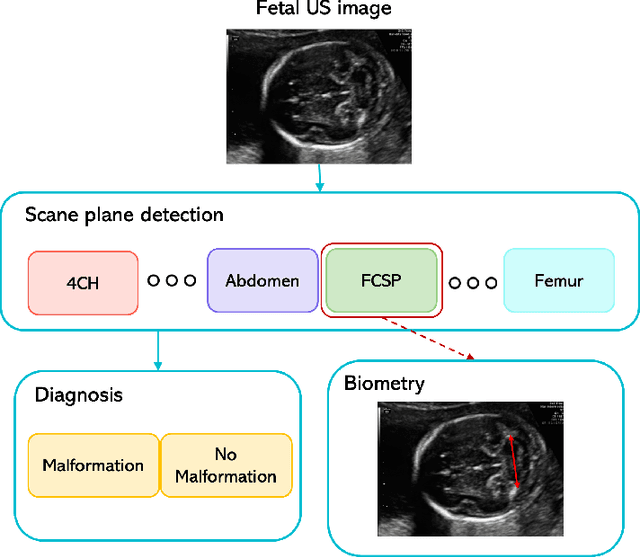 Figure 2 for A Review on Deep-Learning Algorithms for Fetal Ultrasound-Image Analysis