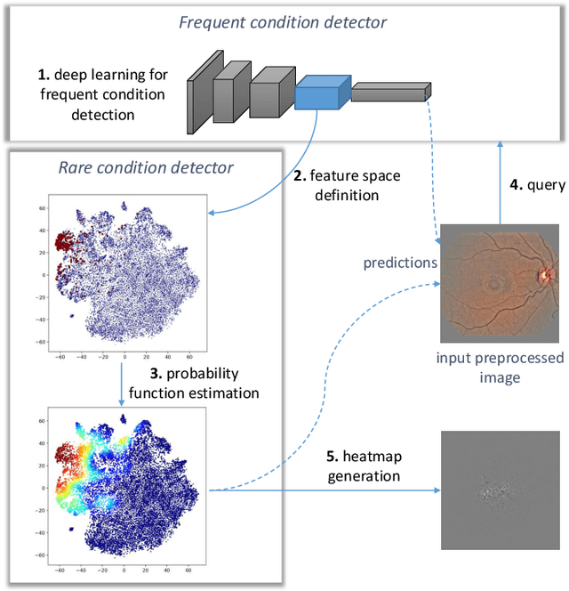 Figure 1 for Automatic detection of multiple pathologies in fundus photographs using spin-off learning