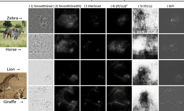 Figure 1 for A Functional Information Perspective on Model Interpretation