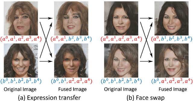 Figure 1 for Branched Generative Adversarial Networks for Multi-Scale Image Manifold Learning