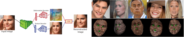 Figure 4 for Lifting AutoEncoders: Unsupervised Learning of a Fully-Disentangled 3D Morphable Model using Deep Non-Rigid Structure from Motion