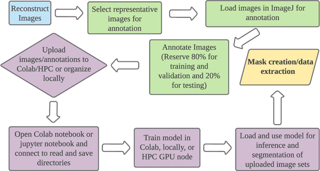 Figure 1 for A workflow for segmenting soil and plant X-ray CT images with deep learning in Googles Colaboratory