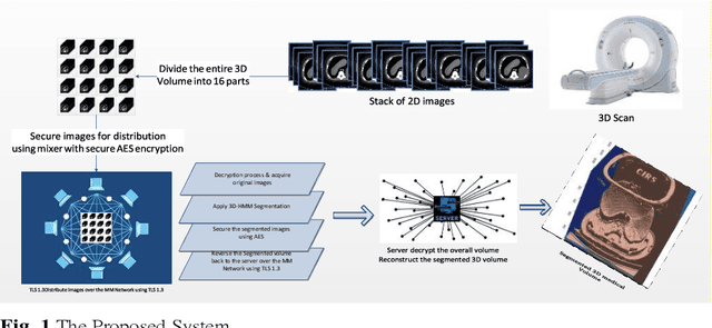 Figure 1 for Secure 3D medical Imaging