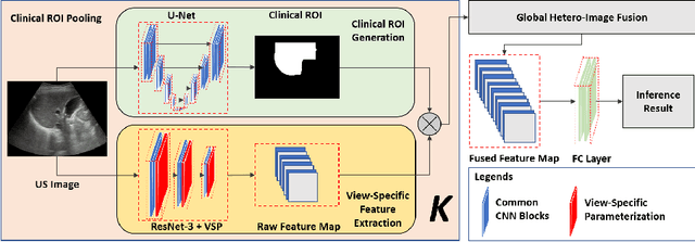 Figure 1 for Reliable Liver Fibrosis Assessment from Ultrasound using Global Hetero-Image Fusion and View-Specific Parameterization